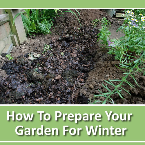 How To Prepare Your Garden For Winter
