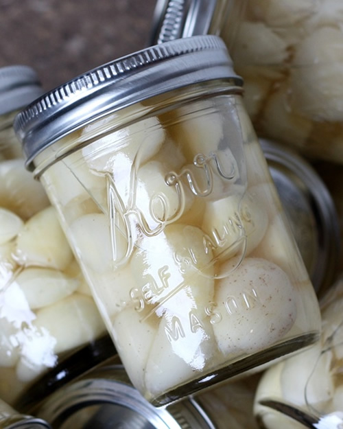 How To Preserve Garlic Cloves