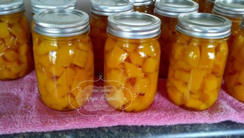 How To Can Butternut Squash