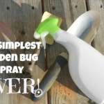 Homemade Garden Bug Spray Recipe