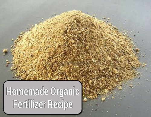 How To Make Your Own Organic Fertilizer