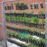 DIY Plastic Bottle Vertical Garden