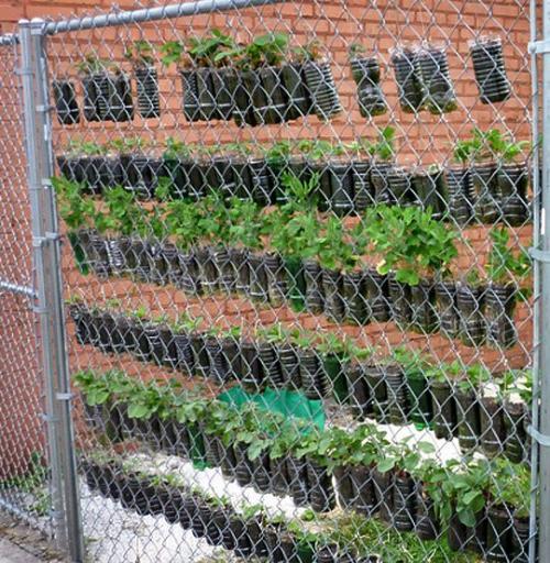 DIY Plastic Bottle Vertical Garden