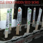 DIY Popsicle Stick Garden Markers
