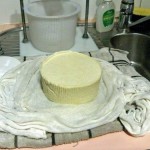 How To Make Parmesian Cheese