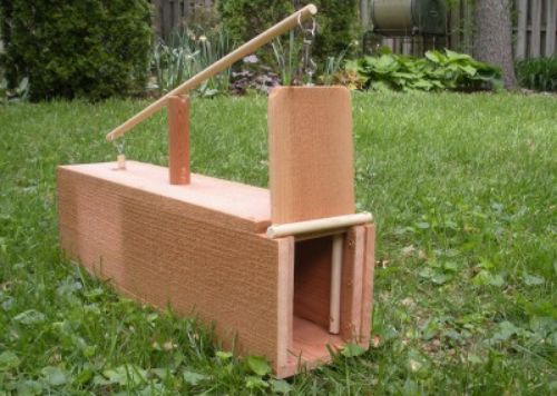 DIY Box Rabbit Trap Plans