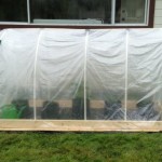 DIY Mini Polytunnel Greenhouse