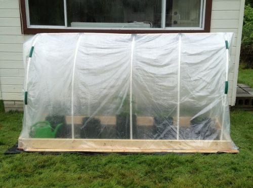 DIY Mini Polytunnel Greenhouse
