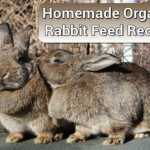 Homemade Organic Rabbit Feed Recipe