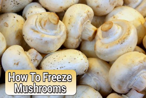 Freezing Mushrooms
