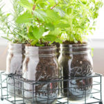 DIY Mason Jar Herb Garden