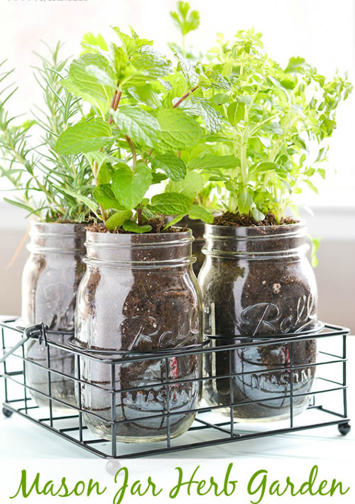 DIY Mason Jar Herb Garden
