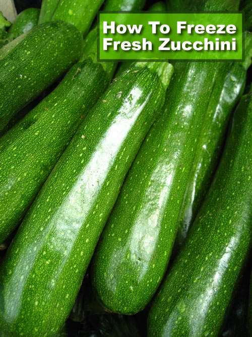 How To Freeze Fresh Zucchini