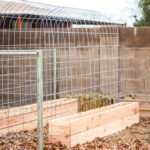 DIY Trellis Raised Garden Box