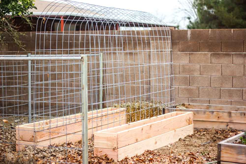 DIY Trellis Raised Garden Box