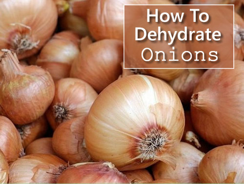 How To Dehydrate Onions