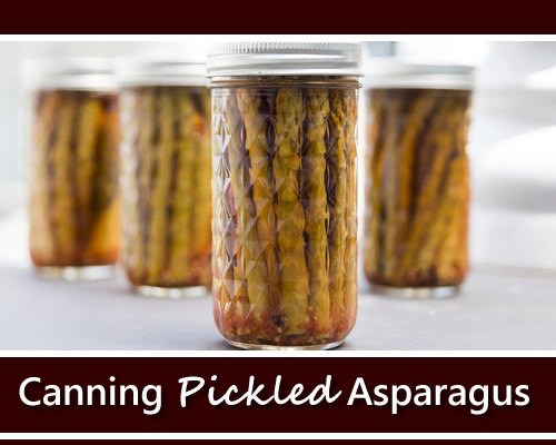 Canning Pickeled Asparagus