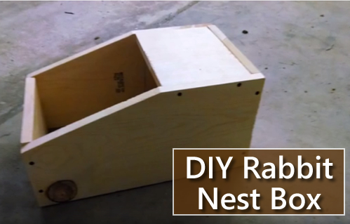 How To Build A Rabbit Nest Box
