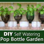 DIY Self Watering Pop Bottle Garden