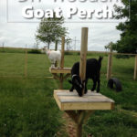 DIY Wooden Goat Perch