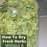 How To Dry Herbs Without Using A Dehydrator