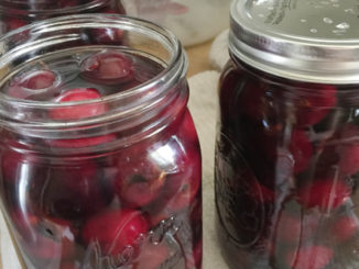 How To Can Cherries For Pie