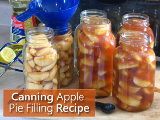 Canning Apple Pie Filling