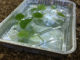 DIY Chicken Spa Treatment