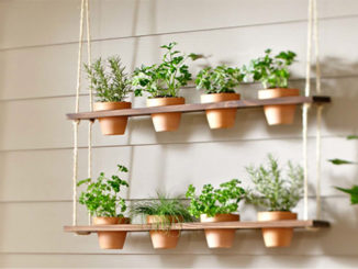 DIY Hanging Herb Garden Planter
