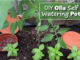 DIY Olla Self Watering Pots