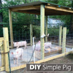 How To Build A Pig Pen