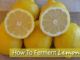 How To Ferment Lemons