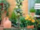 How To Grow 18 Pounds Of Apples In A Container