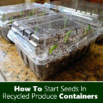 How To Start Seeds in Produce Containers