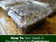 How To Start Seeds in Produce Containers