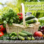 Vegetable Garden Sunlight Chart