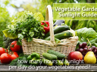 Vegetable Garden Sunlight Chart