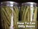 Canning Dilly Beans