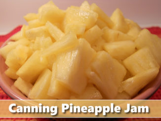 Canning Homemade Pineapple Jam