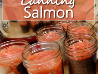 Canning Salmon