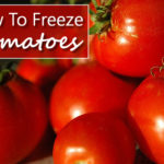 How To Freeze Your Tomatoes