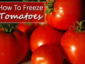 How To Freeze Your Tomatoes