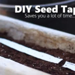 How To Make Seed Tape