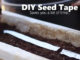 How To Make Seed Tape
