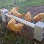 DIY Cinder Block Chicken Feeder