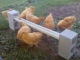DIY Cinder Block Chicken Feeder