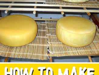 How To Make A Cheese Cave