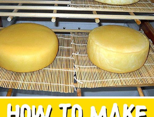 How To Make A Cheese Cave