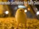 Homemade Electrolyte Recipe For Chicks