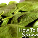 How To Freeze Fresh Spinach